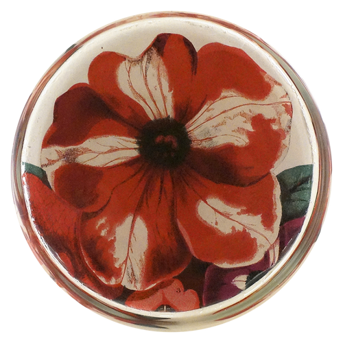 Red Petunias