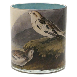 Snow Lark