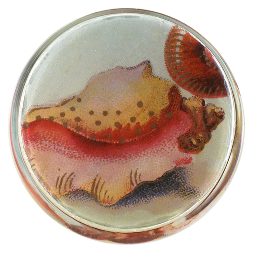 Souvenir
