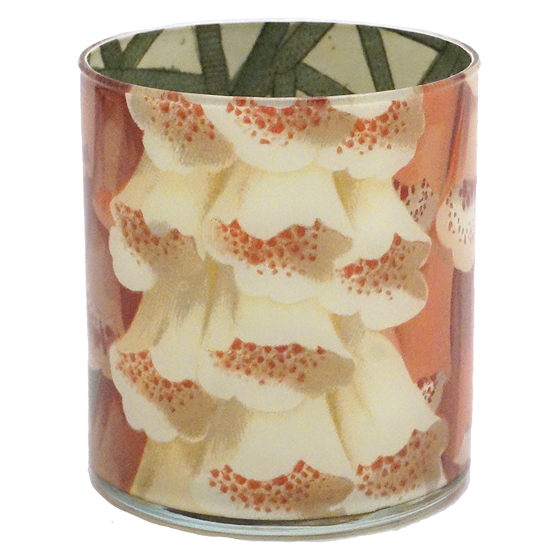 Foxglove