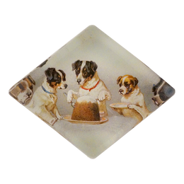Cake - FINAL SALE