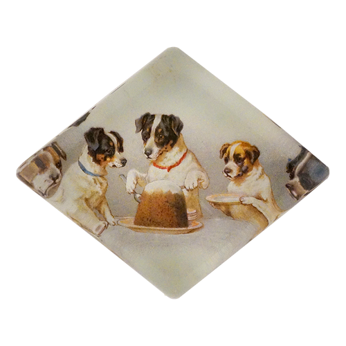 Cake - FINAL SALE