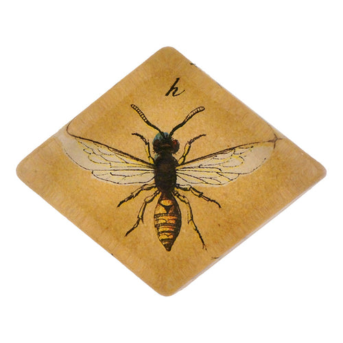 140 Insects H - FINAL SALE
