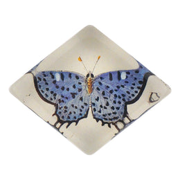 Spotted Blue Butterfly - FINAL SALE