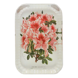 Azalea Sigismond Rucker