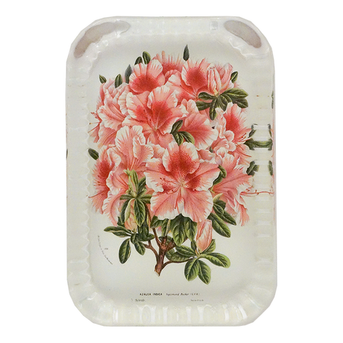 Azalea Sigismond Rucker