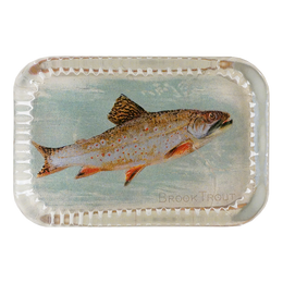 Brook Trout (Fish)