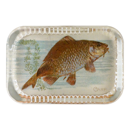 Carp (Fish)