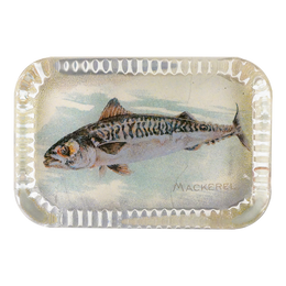 Mackerel (Fish)