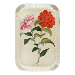 Stuttgart Flower