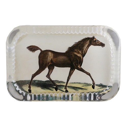 English Race Horse - FINAL SALE