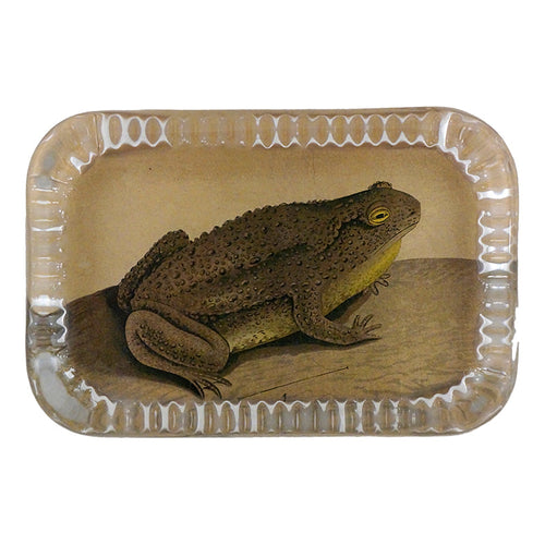 Low Frog - FINAL SALE