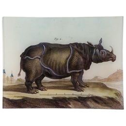 Le Rhinocéros - FINAL SALE