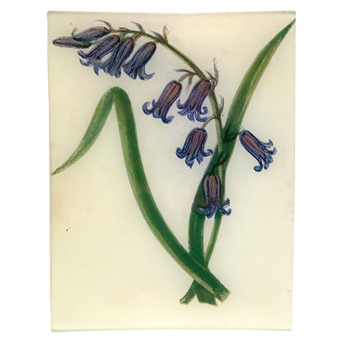 Wild Hyacinth - FINAL SALE
