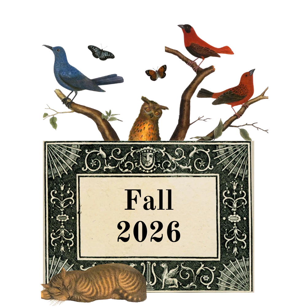 Fall 2026