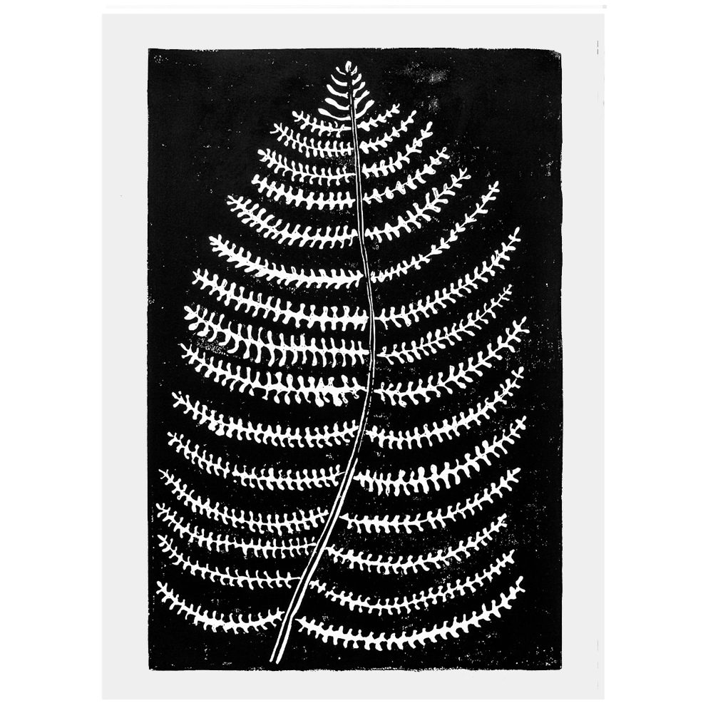 Fern