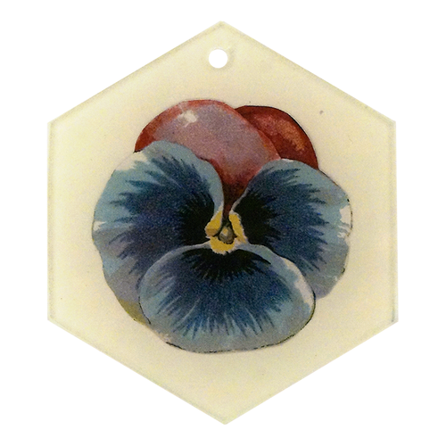 Blue Red (Pansy)