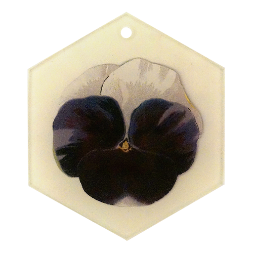 Purple White (Pansy)