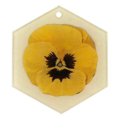 Yellow (Pansy)