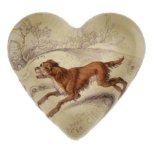 Spaniel