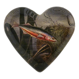 Stickleback