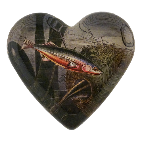 Stickleback