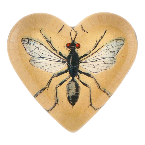 140 Insects E - FINAL SALE