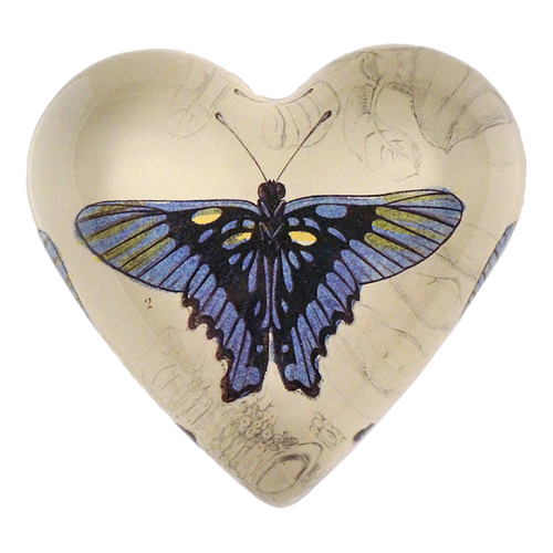 Brazil Butterfly - FINAL SALE