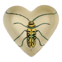Yellow Green Beetle (Lamia ornata) - FINAL SALE