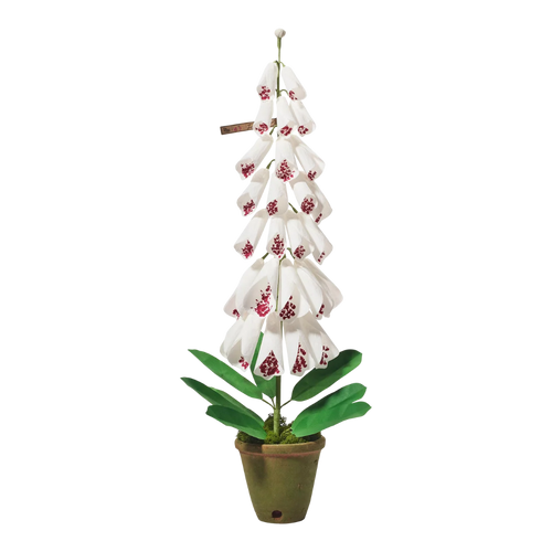 The Green Vase Potted Foxglove Plant