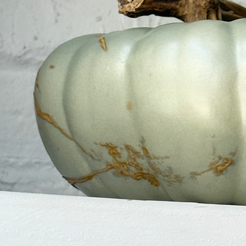 Large Porcelain Crown Prince Squash with Leaf