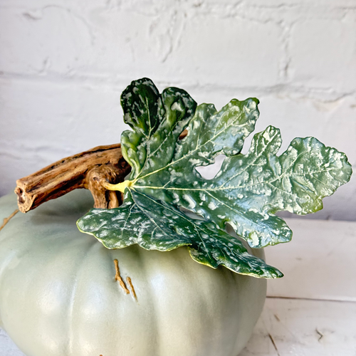 Large Porcelain Crown Prince Squash with Leaf