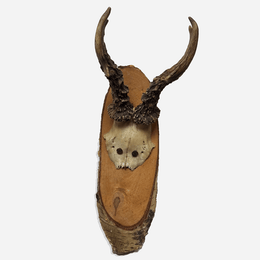 Antique Black Forest Carved Antlers (H02)