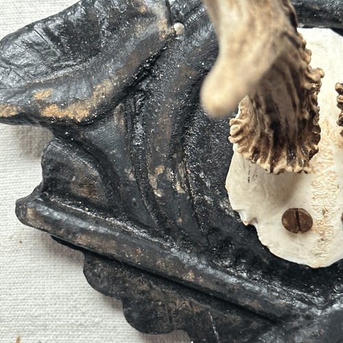 Antique Black Forest Carved Antlers (H04)