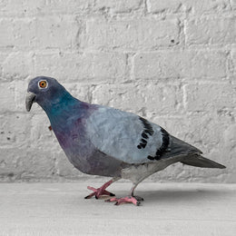Papier-Mâché Pigeon (PG 1)