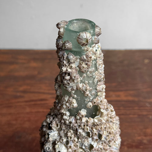 Vintage Barnacle Bottle