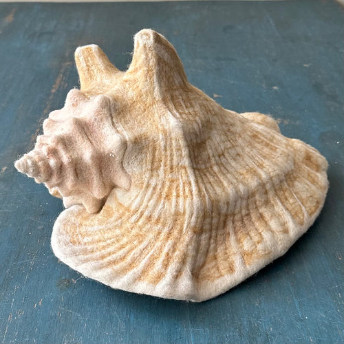 Needle Felted Queen Conch Shell
