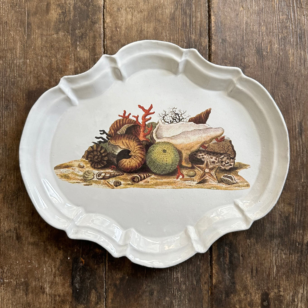 Shells 1754 Platter