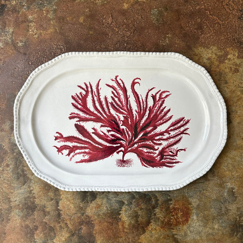 Red Seaweed Platter