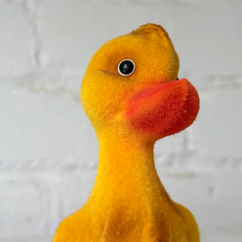 Ino Schaller Yellow Flocked Duck