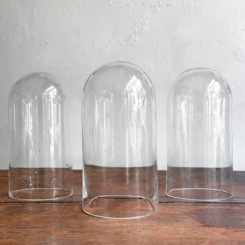 19th-century French Glass Domes