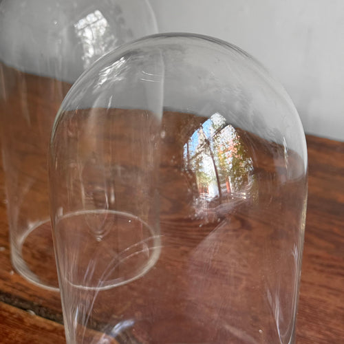 19th-century French Glass Domes