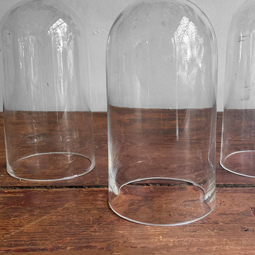 19th-century French Glass Domes