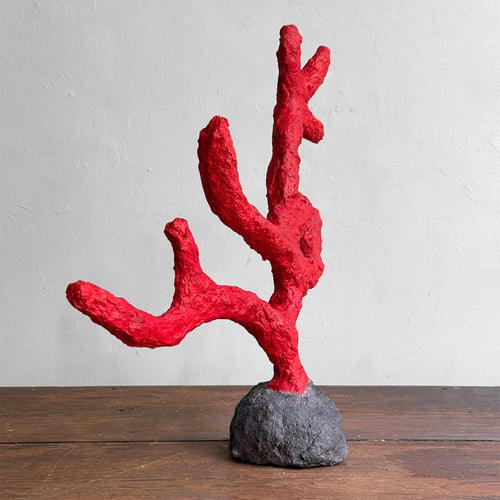 Papier-Mâché Coral