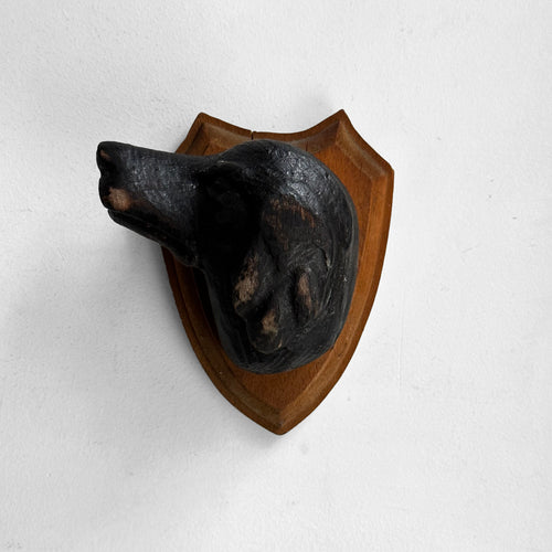 Antique Black Forest Carved Dog Head (D01)