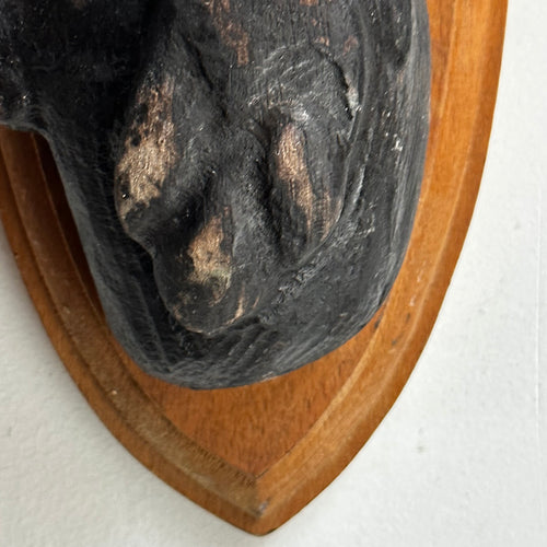 Antique Black Forest Carved Dog Head (D01)