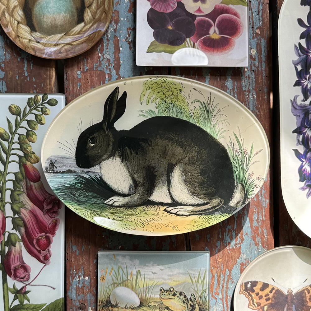 Drawer Lack Rabbit A Rabbit