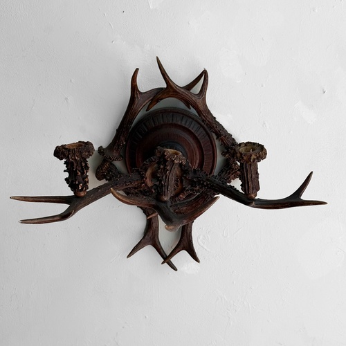 Early 20th-century Black Forest Antler Sconce Pair