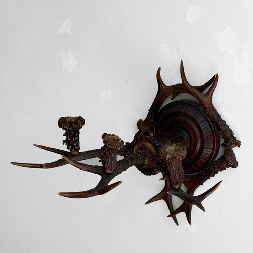 Early 20th-century Black Forest Antler Sconce Pair