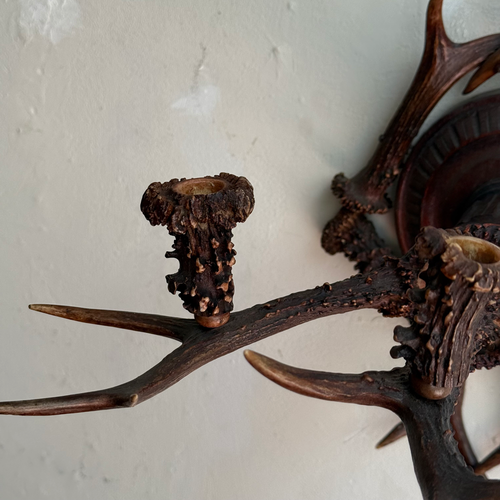 Early 20th-century Black Forest Antler Sconce Pair
